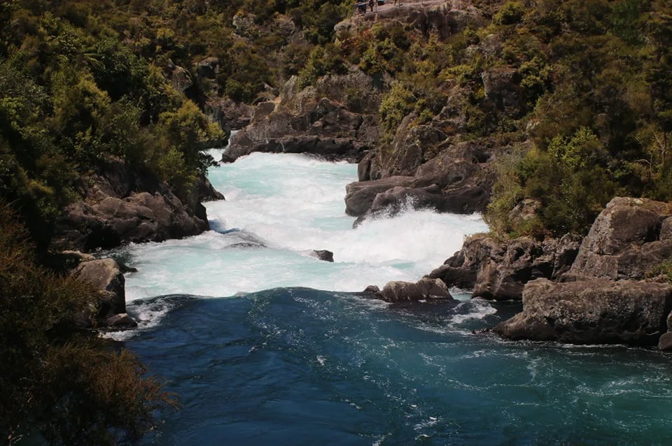 A river narrowing into rapids between bush covered banks