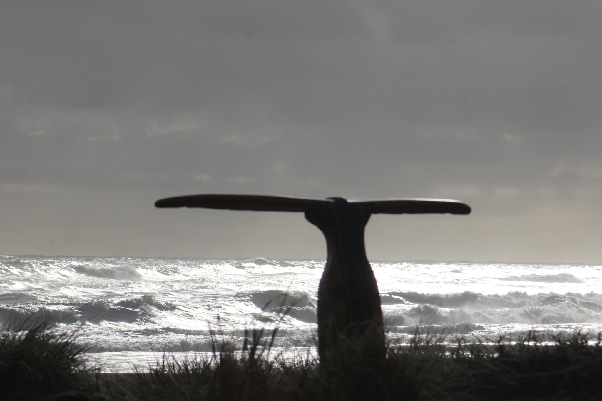 A carved wooden sculpture silhouetted against a windswept surf beach